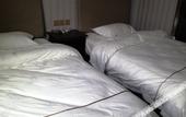 Туры в отель Huaying Select Hotel (Zhengguang Road High-speed Railway Station)