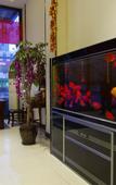 Туры в отель Yuan Ju Jia Jia Hotel (Zhengzhou Daxue Road Erqi Wanda Branch)