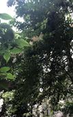 Туры в отель Chengdu  Tianyi   Hotel