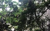 Туры в отель Chengdu  Tianyi   Hotel