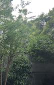 Туры в отель Chengdu  Tianyi   Hotel
