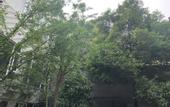 Туры в отель Chengdu  Tianyi   Hotel