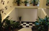 Туры в отель Constellation Hotel