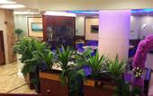 Туры в отель Guangzhou Jinwan Hotel
