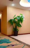 Туры в отель Guangzhou Jinwan Hotel