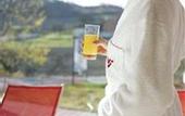 Туры в отель Das Sonnreich - Thermenhotel Loipersdorf