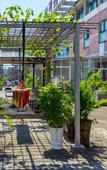 Туры в отель Pebble Motel(tianyi store)