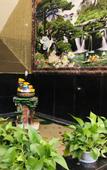 Туры в отель Jinxian Ruixian Hotel