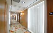 Туры в отель Orange Hotel (Zhengzhou Hongzhuan Road)