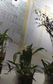 Туры в отель Golden China Zero Point Hotel North Road Shop