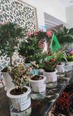 Туры в отель Golden China Zero Point Hotel North Road Shop
