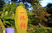 Туры в отель Yunzhigu Art Hotel