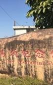 Туры в отель Jiangmen Lianfa Hotel (Lixia Passenger Transport Terminal Branch)