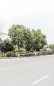 Туры в отель Shankee Hotel (Danyang Houxiang Town Central Street)