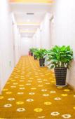 Туры в отель Pebble Motel(Shaoxing Lu Xun's Hometown Store)