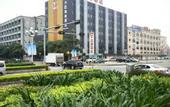 Туры в отель Liju Business Hotel