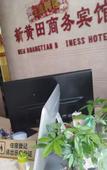 Туры в отель Xinhuangtian Business Hotel (Shenzhen New Terminal Building)