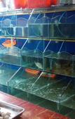 Туры в отель Cangnan Yuanmeng Business Hotel