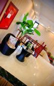 Туры в отель Lanou Haoyi Hotel (Ande High Speed Railway Station Railway Academy Branch)