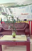 Туры в отель Yisu Qingju Hotel (Ningbo Lianfeng Middle Road store)