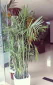 Туры в отель Yisu Qingju Hotel (Ningbo Lianfeng Middle Road store)