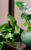 Туры в отель Huayuanjing Holiday Hotel