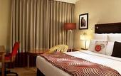 Туры в отель London Marriott Hotel Marble Arch