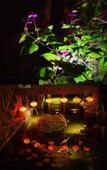 Туры в отель Manju Hotel (Kuantang)