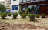 Туры в отель Chunrun Courtyard Hotel (Weihai Golden Beach Bathing Beach)