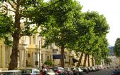 Туры в отель London Town