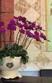 Туры в отель Shengli Spa Holiday Hotel