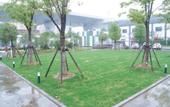 Туры в отель Shanghai Eagle Hotel