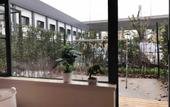 Туры в отель Shanghai Eagle Hotel