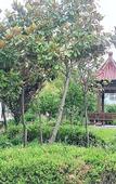 Туры в отель GreenTree Inn Hotel (Jiaozhou Jiaozhou North Railway Station Branch)