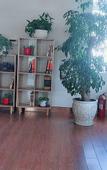 Туры в отель GreenTree Inn Hotel (Jiaozhou Jiaozhou North Railway Station Branch)
