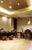 Туры в отель Shenzhen Dadongjia Business Hotel