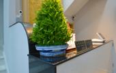 Туры в отель Luhe Business Hotel (Shanghai Fudi Vigor City Yuqiao Subway Station)