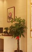 Туры в отель GreenTree Inn Express (Taixing Central Road)