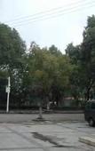 Туры в отель Shanghai shanlai Business Hotel