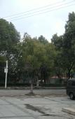 Туры в отель Shanghai shanlai Business Hotel