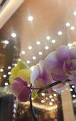 Туры в отель Rezen Hotel Hefei Orchid
