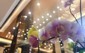 Туры в отель Rezen Hotel Hefei Orchid