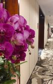 Туры в отель Rezen Hotel Hefei Orchid