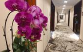 Туры в отель Rezen Hotel Hefei Orchid