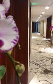 Туры в отель Rezen Hotel Hefei Orchid