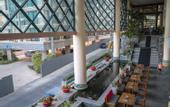 Туры в отель Long Beach Garden Hotel & Spa