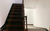 Туры в отель Shenzhen Jintai apartment