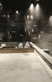 Туры в отель Maple Leaf Village Hot Spring Resort