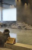 Туры в отель Maple Leaf Village Hot Spring Resort