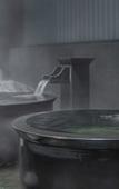 Туры в отель Maple Leaf Village Hot Spring Resort
